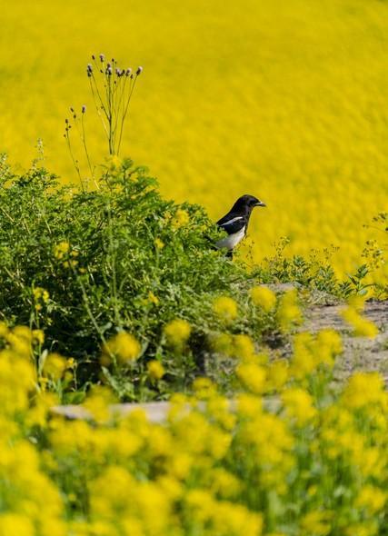 家庭变迁的影响_儿子结婚父母心理调整_中老年空巢抑郁应对