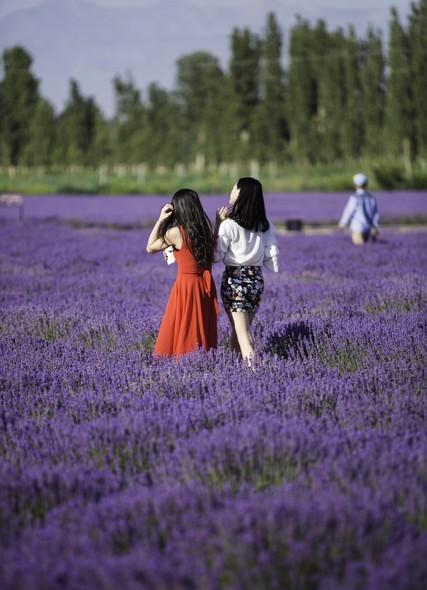 儿子结婚父母心理调整_家庭变迁的影响_中老年空巢抑郁应对