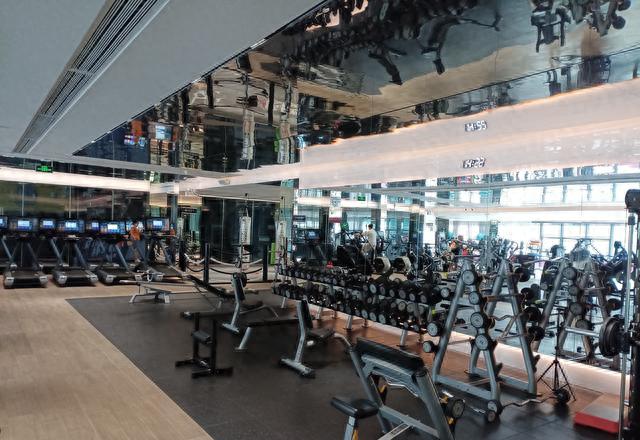 沉肩训练_引体向上省力技巧_引体向上进步技巧