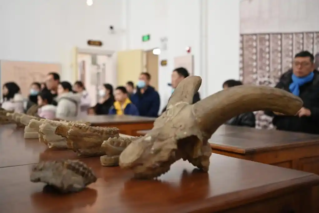 中法文化旅游年合作成果_中法人文交流加速双向奔赴_习主席这样引领中法关系