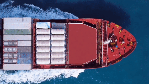 首届中国国际进口博览会_中国经济大海论_“大海”的底气