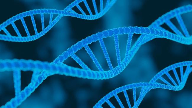 专家回应康熙生父争议 DNA证据揭真相