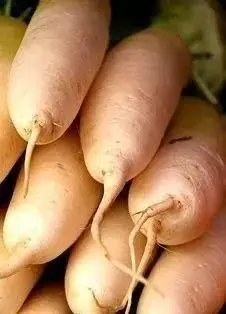 立冬气温下降_秋裤预警地图_立冬牢记八不沾少烦恼