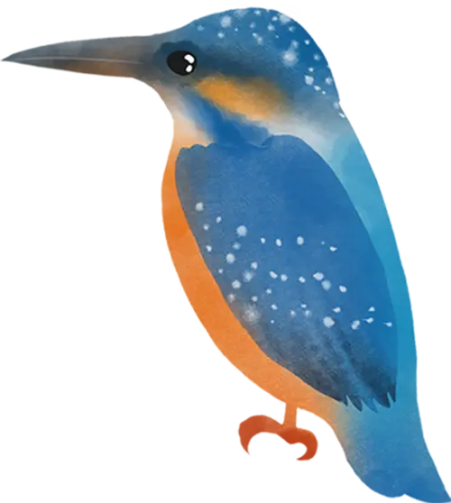 大雪节气三候_大雪节气习俗_大雪节气为啥要喝红薯粥