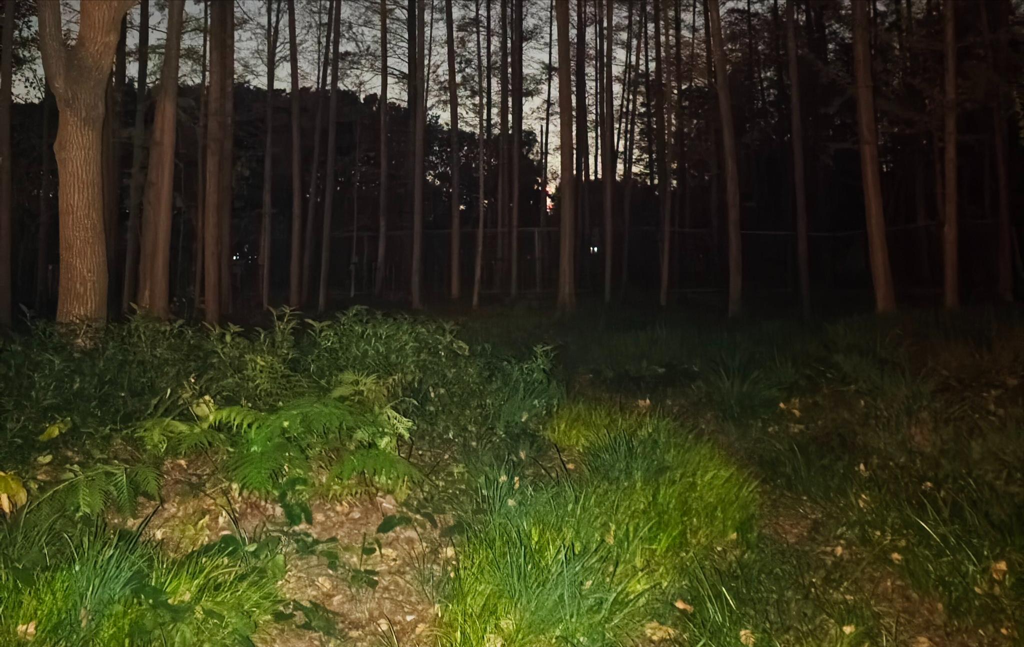 2025年奇葩新闻事件_周杰伦模仿大赛结果_2025年国内外重大事件