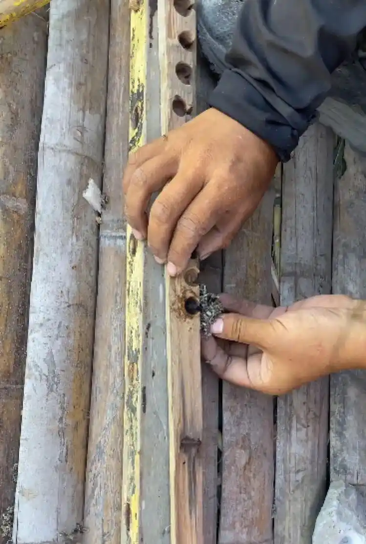 海岛求生比赛规则和体验_减肥博主参加荒岛求生比赛_女子为减肥参加海岛求生35天减28斤