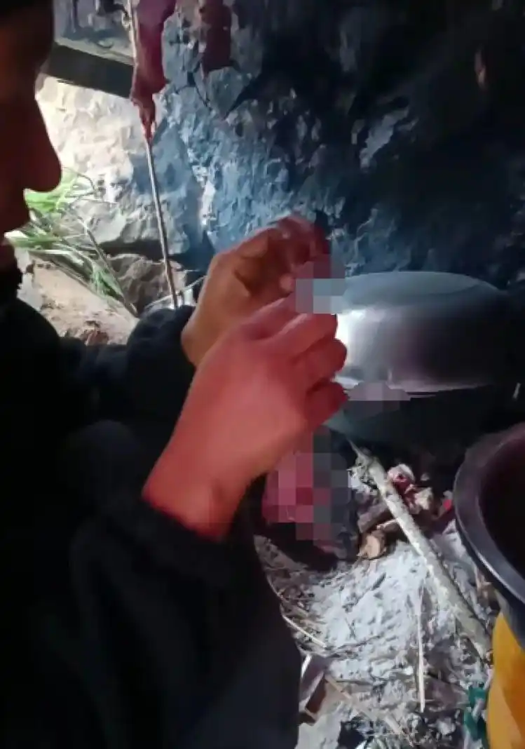 女子为减肥参加海岛求生35天减28斤_海岛求生比赛规则和体验_减肥博主参加荒岛求生比赛