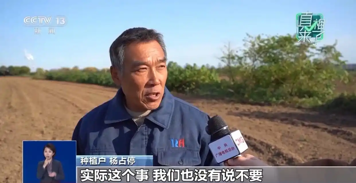 ‘千亩辣椒免费摘’系谣言，保护农户权益真相揭秘