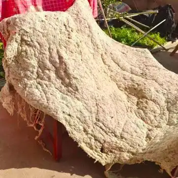 南方冬天抗湿穿衣指南_南方人过冬保命指南：扔掉夹棉睡衣_南方湿冷冬天怎么穿