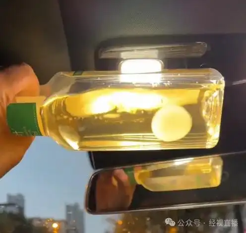 用东方树叶养“茶菌”当宠物？多方提醒：若出现菌团不建议饮用，被误食恐引发腹泻或过敏等健康风险