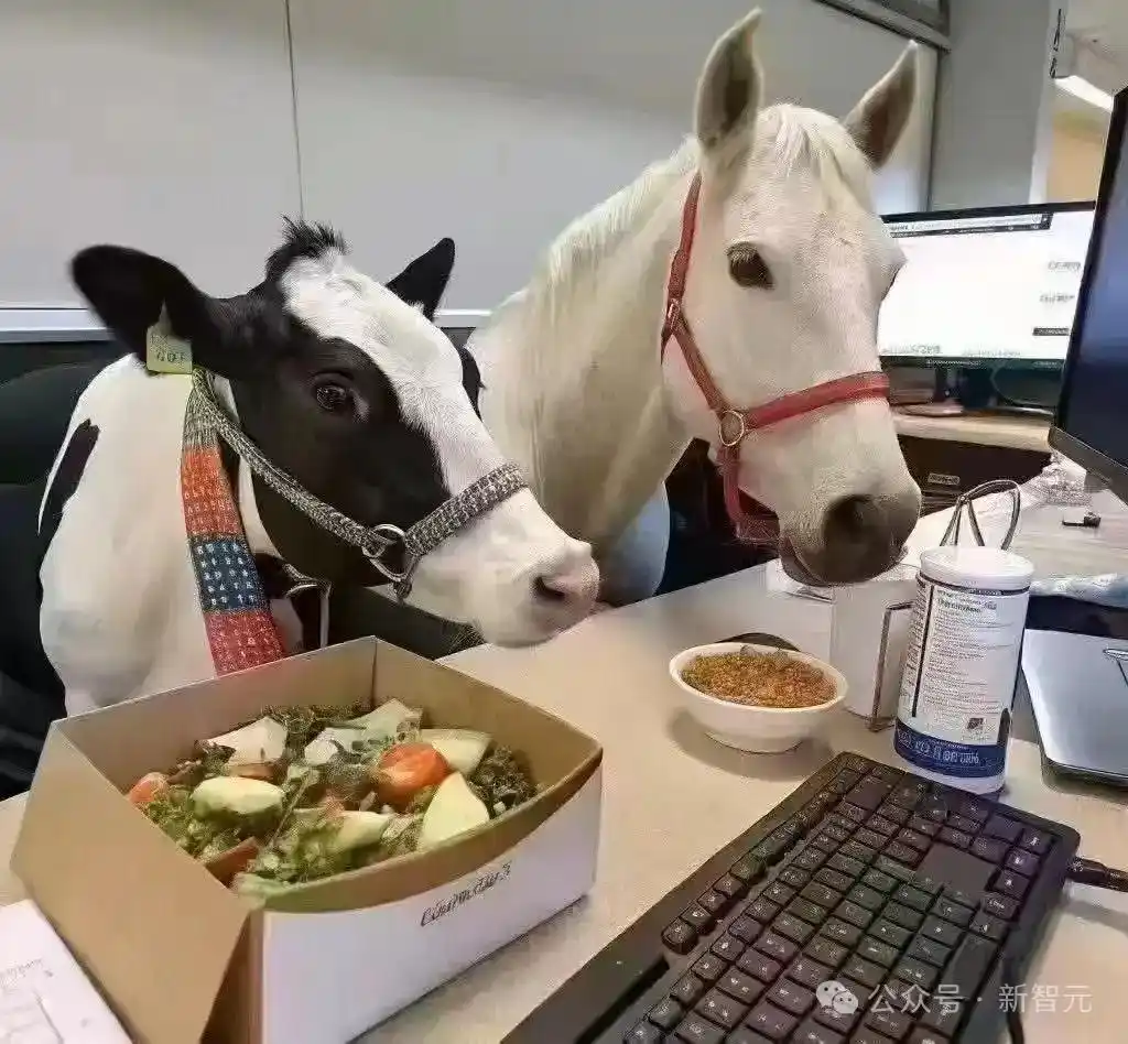 GPT-5.2模型对比_gpt-5.2来了！openai最新发布_GPT-5.2评测