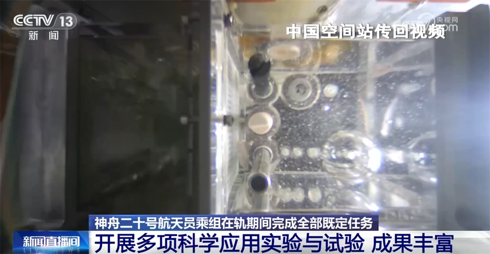 神二十航天员报告感觉良好_神舟二十号航天员乘组即将返回_神舟二十号航天员在轨任务成果
