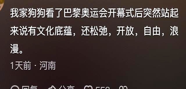 巴黎奥运开幕式 火炬传递 马克西姆·高夫_最成功的奥运会开幕式