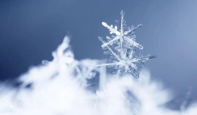 今日小雪 要做这些事 享受冬日宁静与温暖