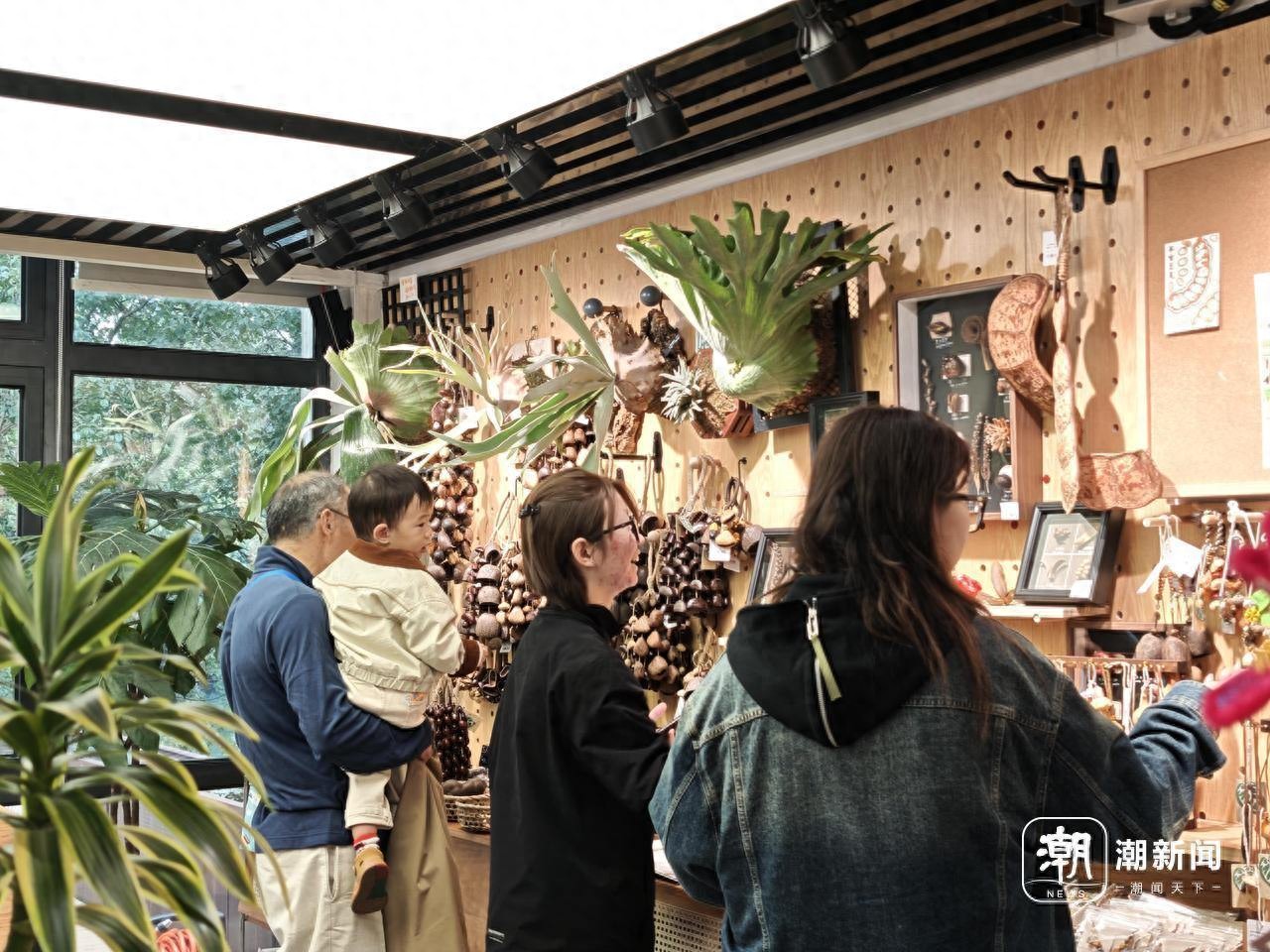 果壳摇铃火了，杭州植物园文创店人气爆棚​！