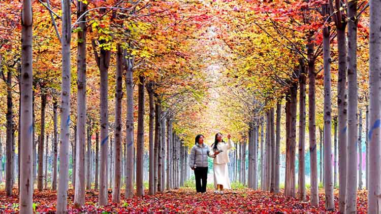 青少年强迫症症状表现_大学生患“强迫症” 每晚用酒精洗腿_大学生强迫症案例分享