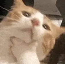 男子千里找初恋还钱_安徽男子河南寻初恋故事_男子跨省寻找27年未见的初恋还钱