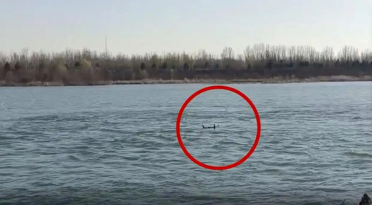 怀柔区潮白河女子落水救援_女子掉入5米深冰河多亏穿了厚羽绒服_消防员冲锋舟紧急救援