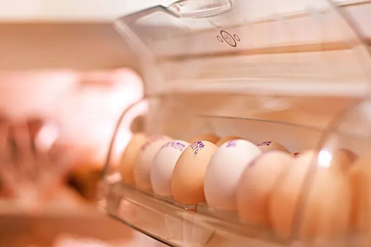 高血脂人群鸡蛋控制_一天吃40个鸡蛋会造成肾脏严重负担_鸡蛋每日摄入量