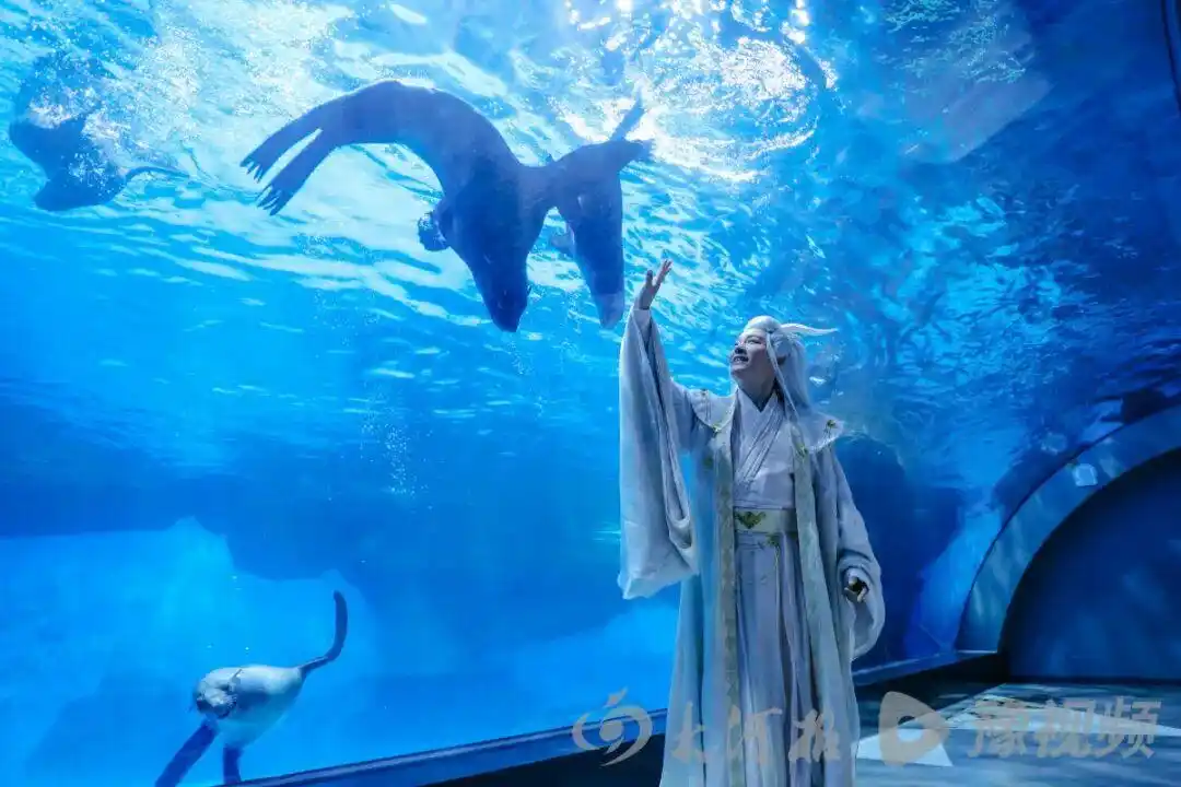 郑国霖转型文旅曝光量_郑国霖景区打工_郑国霖谈景区打工：过气明星缺钱