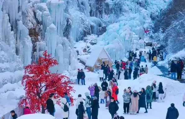 台湾宜兰县海域6.6级地震_台湾宜兰县海域6.6级地震_美国总统特朗普2026年中期选举价格议题