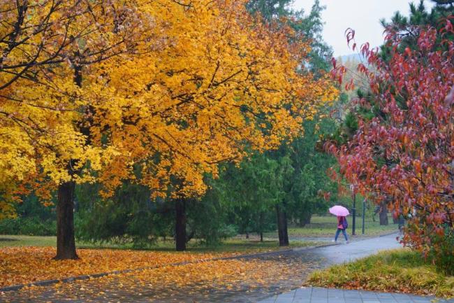 300元滑雪服被冻哭的年轻人焊身上了 都市打工人新宠