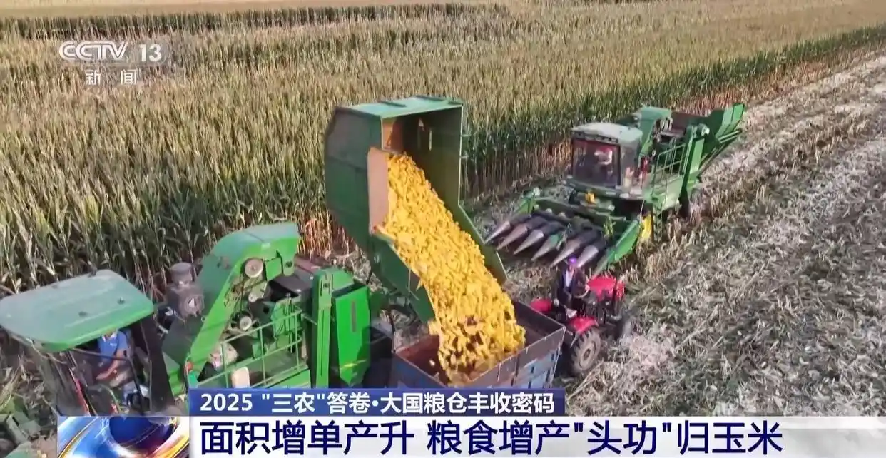 黄淮海地区农业基础设施升级_黄淮海粮食主产区产量增长趋势_为何今年全国粮食产量再创新高