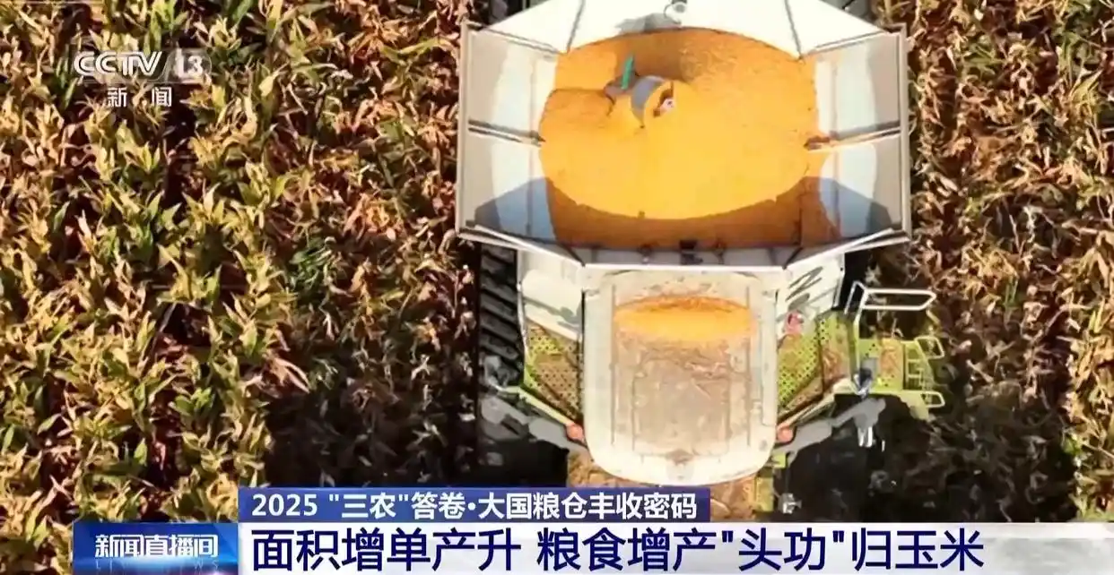 黄淮海粮食主产区产量增长趋势_黄淮海地区农业基础设施升级_为何今年全国粮食产量再创新高