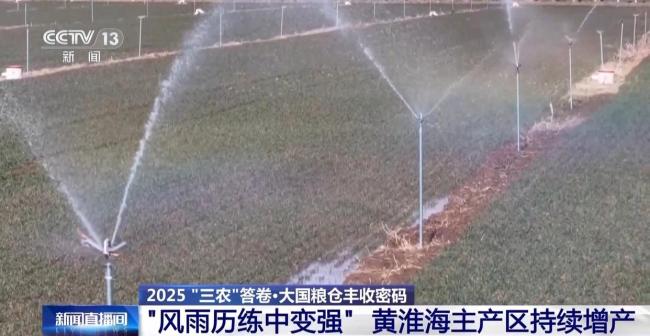 为何今年全国粮食产量再创新高 丰收来之不易