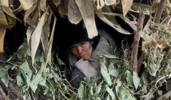 七星山荒野求生唯一女选手体检通过 坚韧生存挑战极限