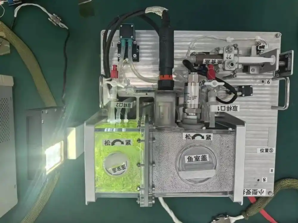 神舟二十一号空间生命科学实验_航天员将在轨饲养4只小鼠_空间站啮齿类哺乳动物空间科学实验