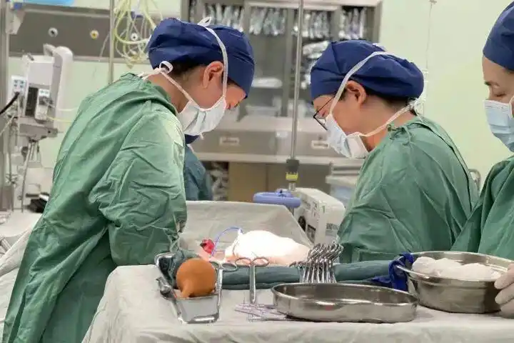 52岁极高龄女子成功诞下龙凤胎_高龄双胎妊娠_极高龄试管婴儿分娩