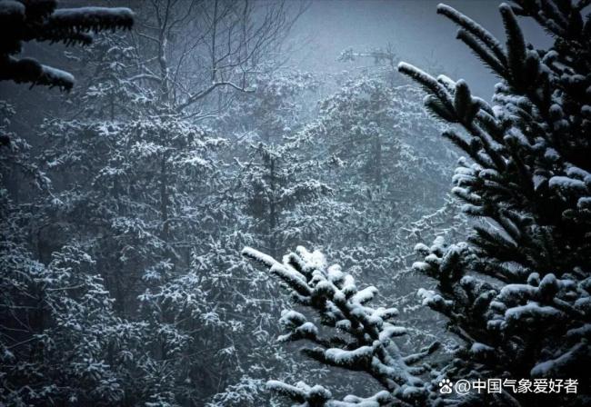 2026年第二场雪要来了 新一波冷空气接力南下