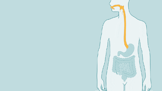 提高新陈代谢水平_代谢差的表现_提高代谢的5个技巧 让你想长胖都难