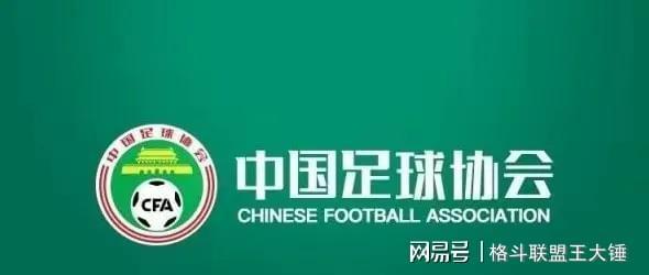 中国足球裁判张雷_2026国际足联裁判员名单 中国足协国际级裁判员名单 刘宗麒国际级裁判员