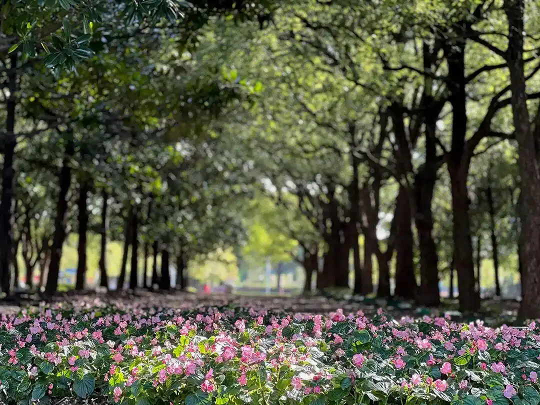 梅毒是日本搞出来的吗_晒年轻聚众梅毒日本人的照片_日本年轻人聚众晒梅毒