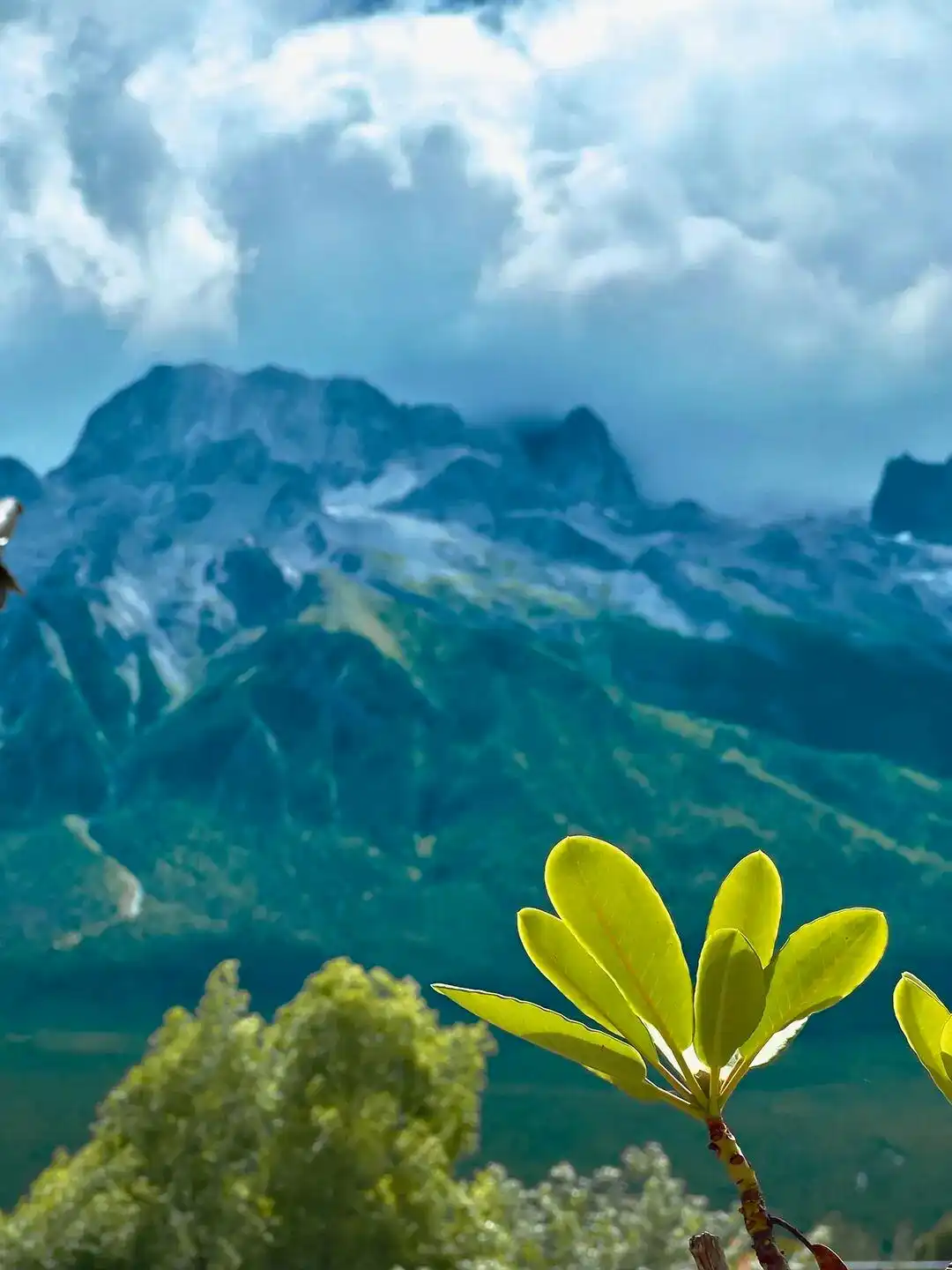 梅毒是日本搞出来的吗_日本年轻人聚众晒梅毒_晒年轻聚众梅毒日本人的照片