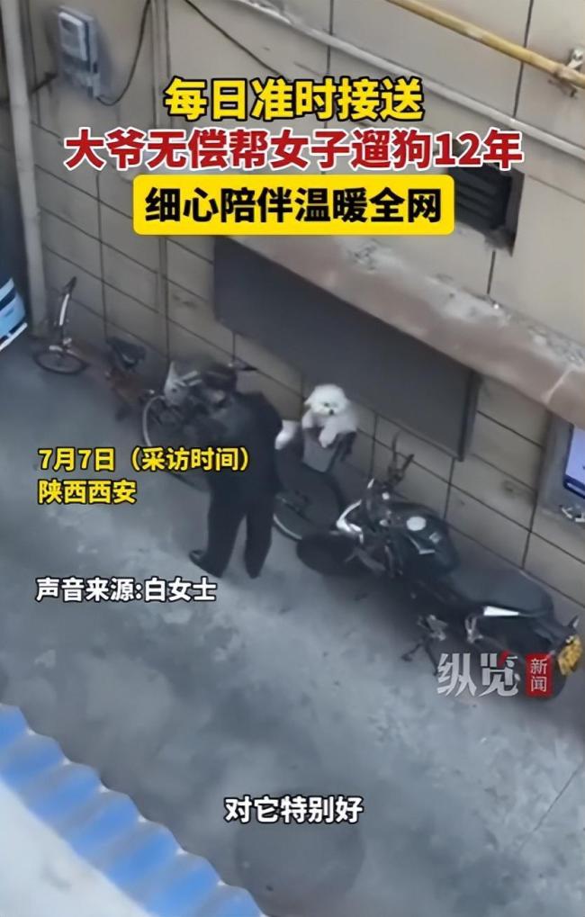 大爷爱犬去世后为陌生女子遛狗12年
