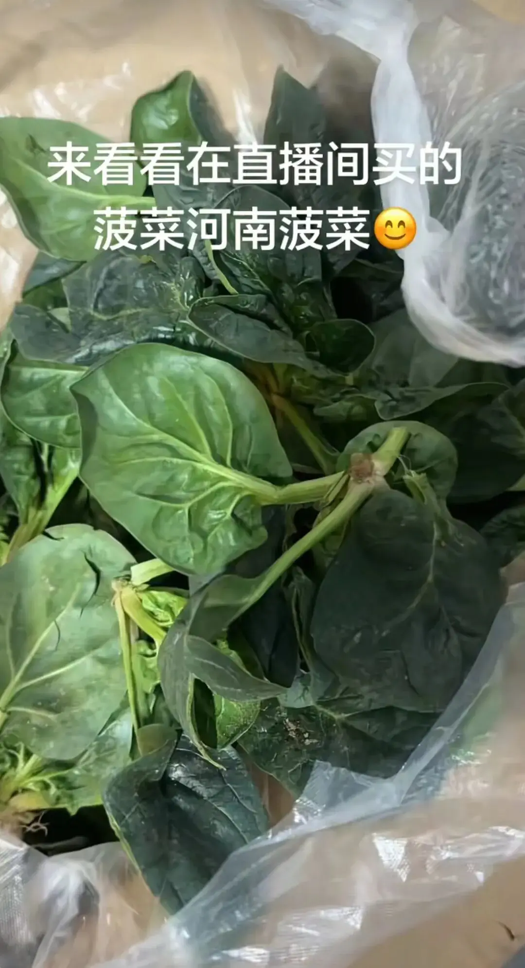 河南趴地菠菜直播带货_河南趴地菠菜走红_河南农产品品牌建设
