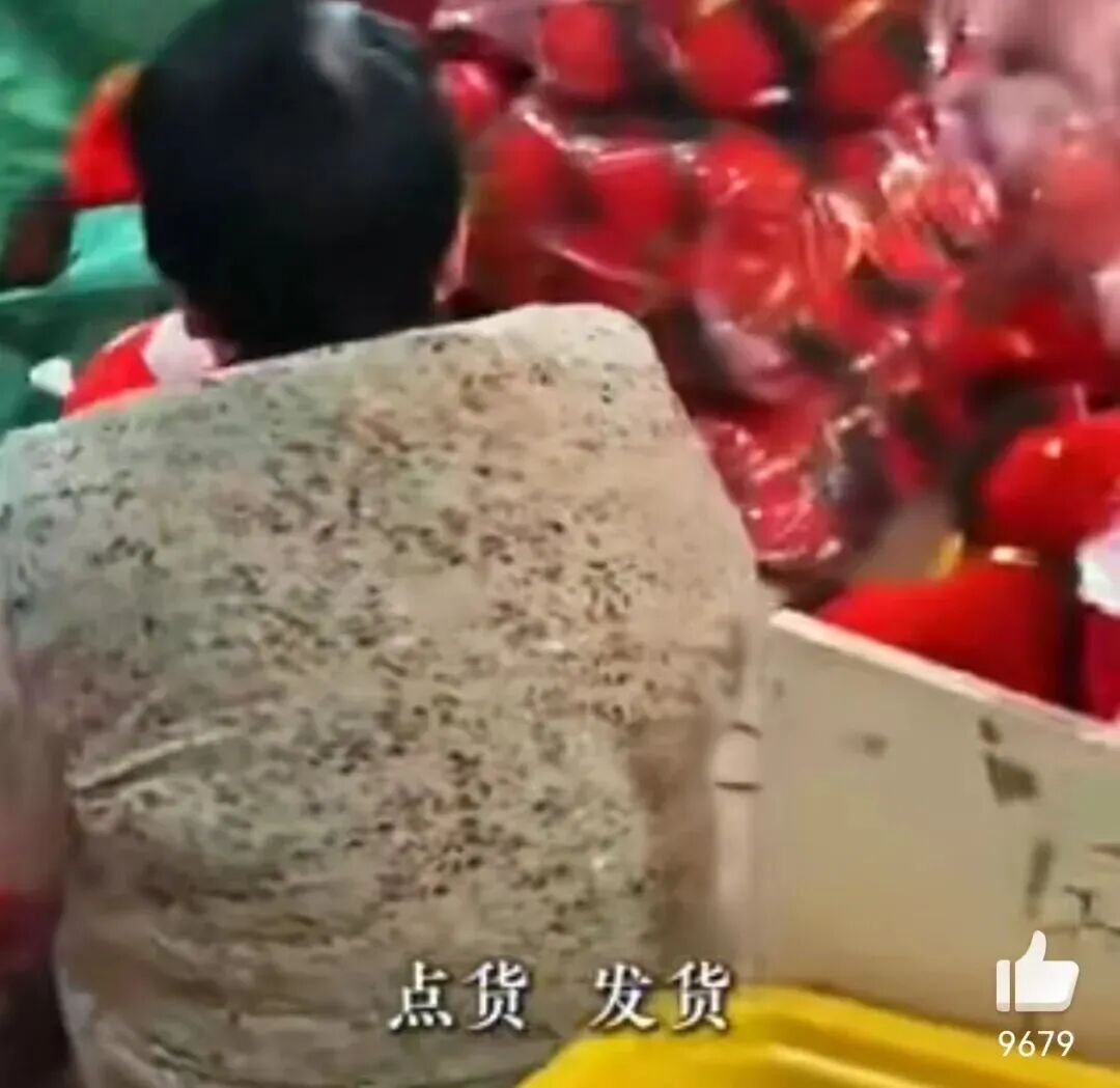 哭哭马供应链_义乌产的“哭哭马”火了_义乌哭哭马