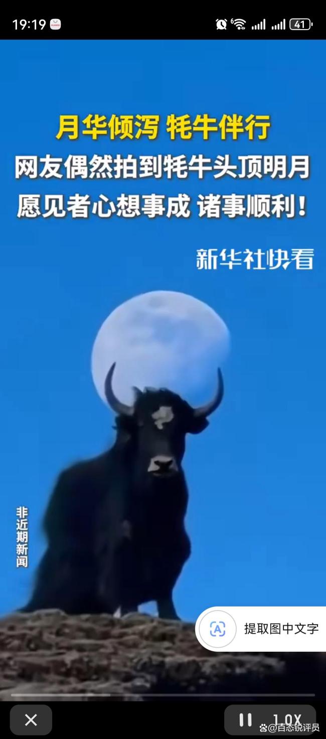 网友偶然拍到“牦牛头顶明月”：自然与人文的千年共鸣