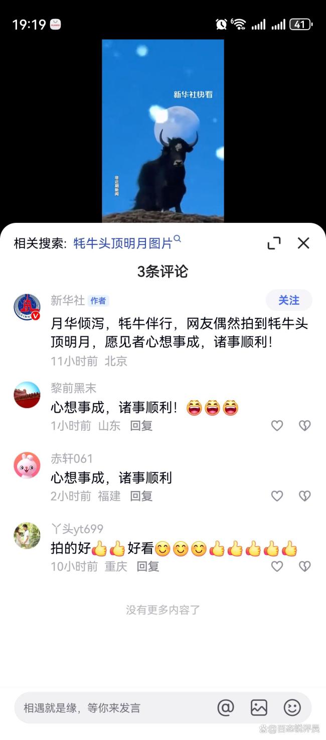 网友偶然拍到“牦牛头顶明月”：自然与人文的千年共鸣