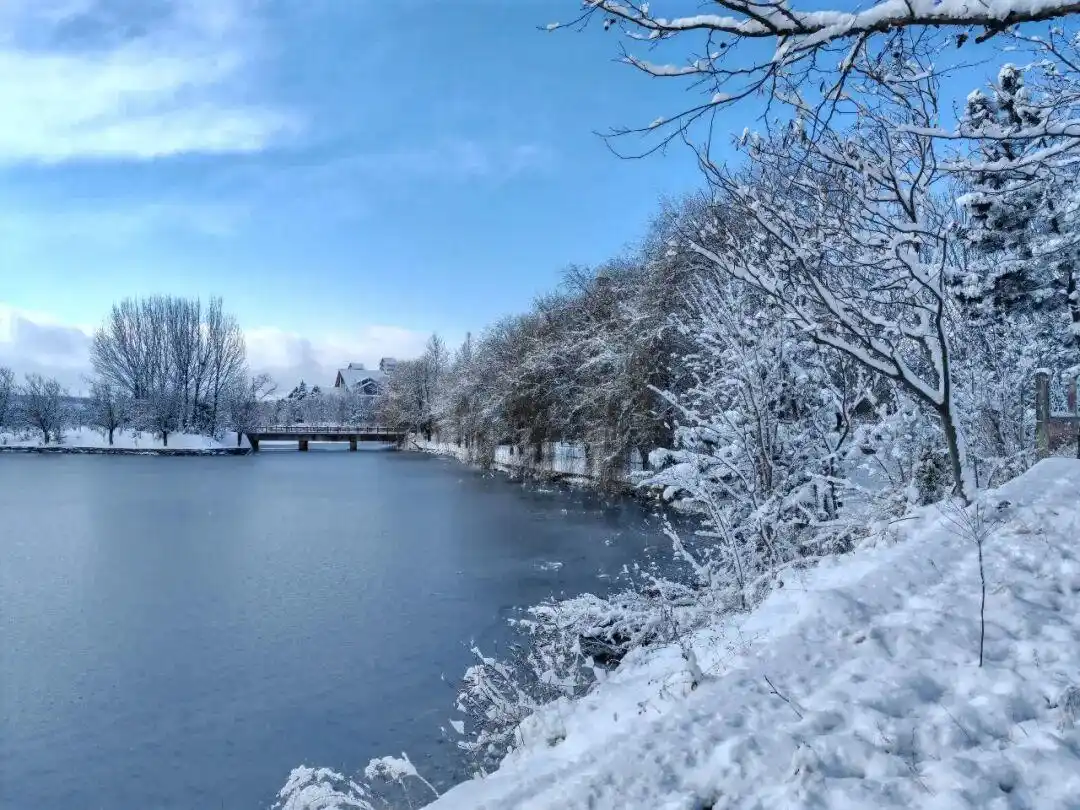 中国这个“雪窝子”你知道吗_山海雪景图_威海冷流雪