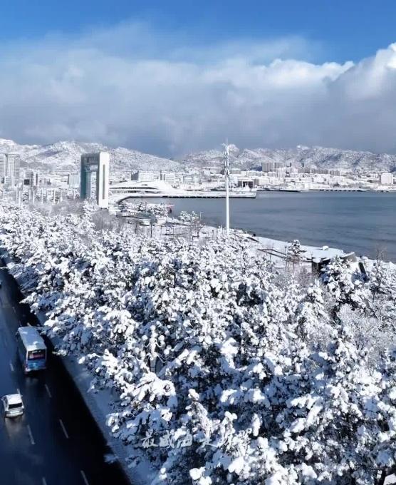 中国这个“雪窝子”你知道吗 威海深夜大雪纷飞