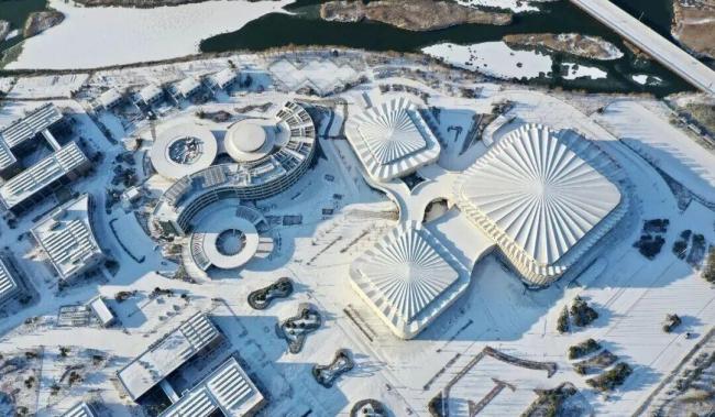 中国这个“雪窝子”你知道吗 威海深夜大雪纷飞