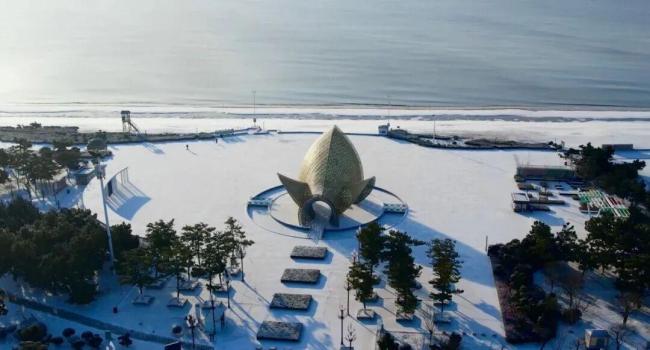 中国这个“雪窝子”你知道吗 威海深夜大雪纷飞