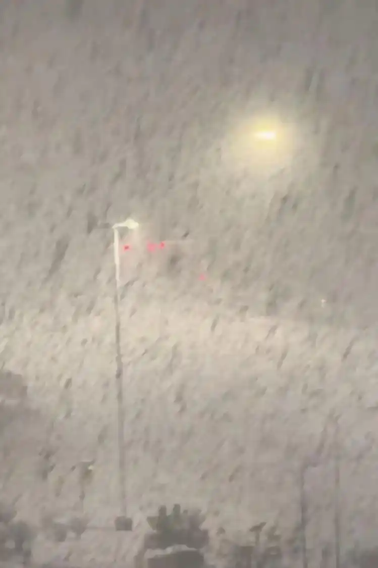 冷流雪形成原因_威海烟台雪下到冒烟？咋回事_威海烟台冷流雪特点