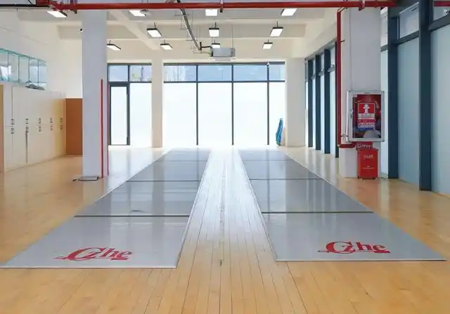 奥运冠军击剑会被淘汰吗_2021奥运会击剑冠军是谁_奥运会击剑冠军