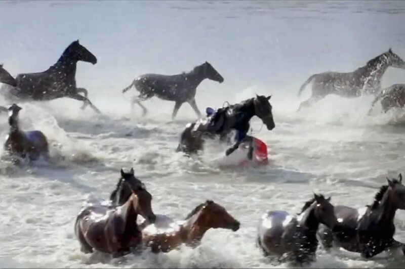 贺娇龙所有直播打赏均用于公益_贺娇龙所有直播打赏均用于公益_贺娇龙所有直播打赏均用于公益