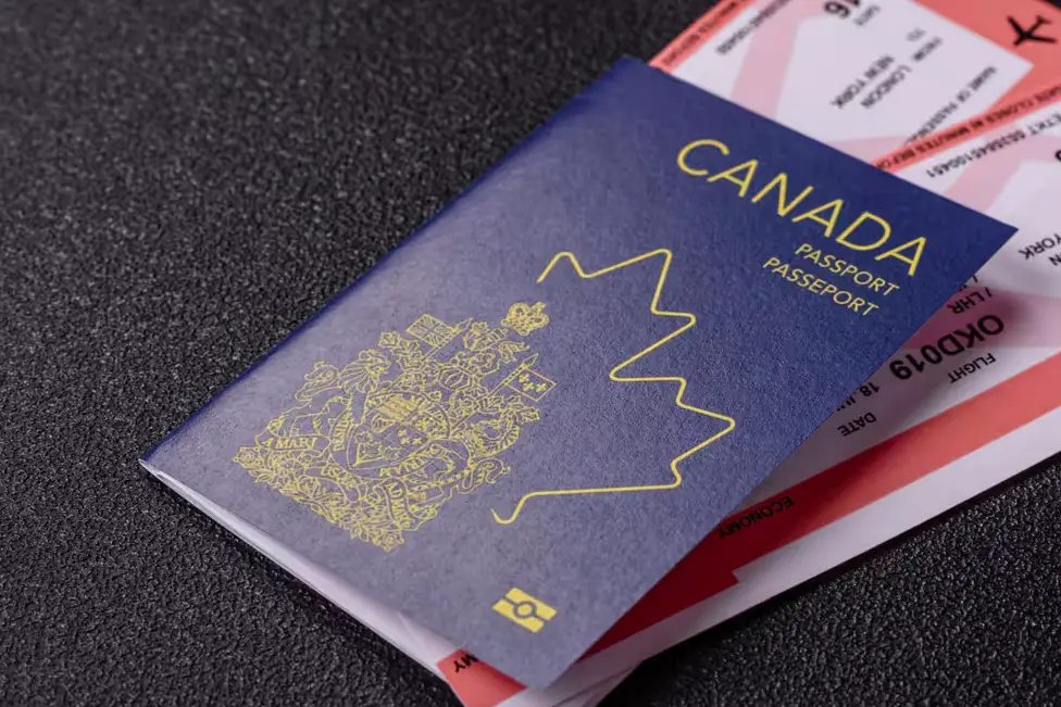 韩国意大利知乎_意大利队韩国_2026年韩国对意大利